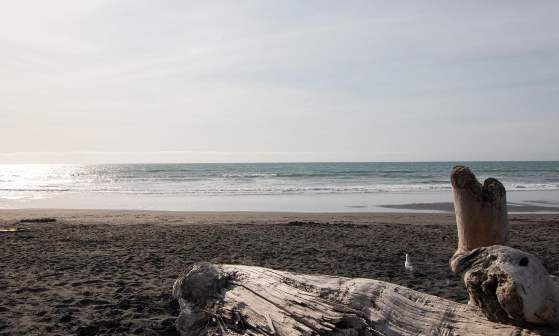 The Dunes At Fitzroy Beach Unit 2 New Plymouth Exteriér fotografie